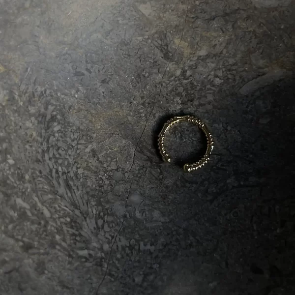 Paauksuotas EAR CUFF