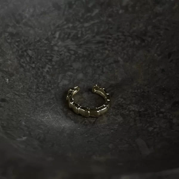 Paauksuotas EAR CUFF